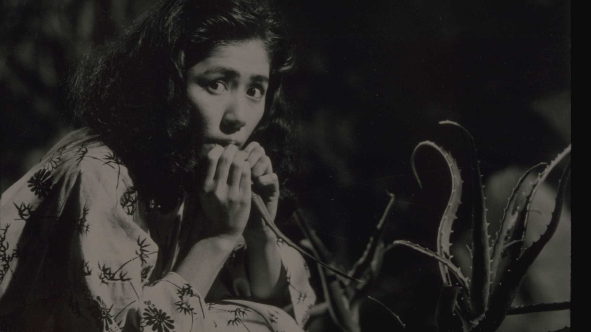 Black Rain  (image 1)