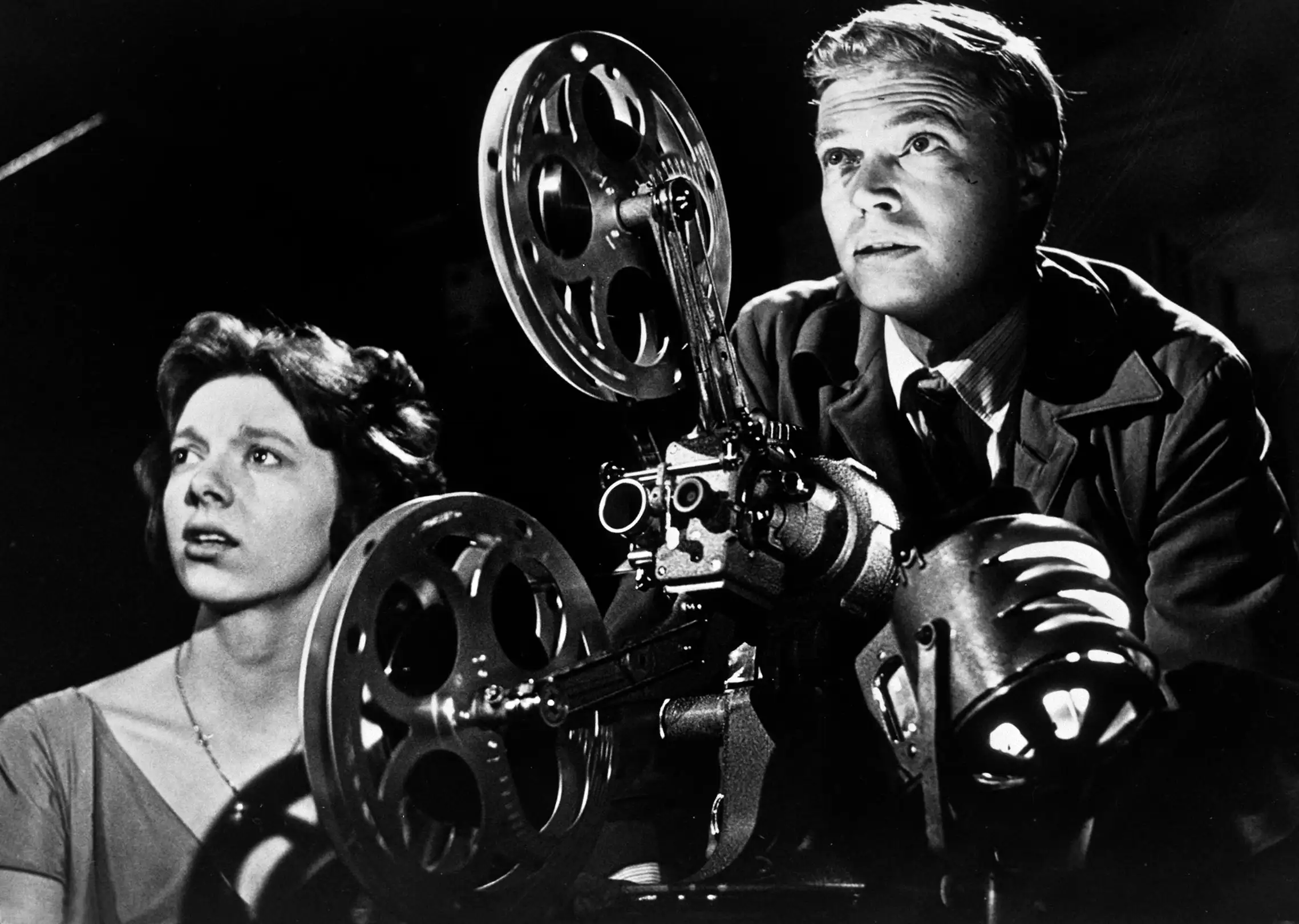 NZIFF Film Quizzes