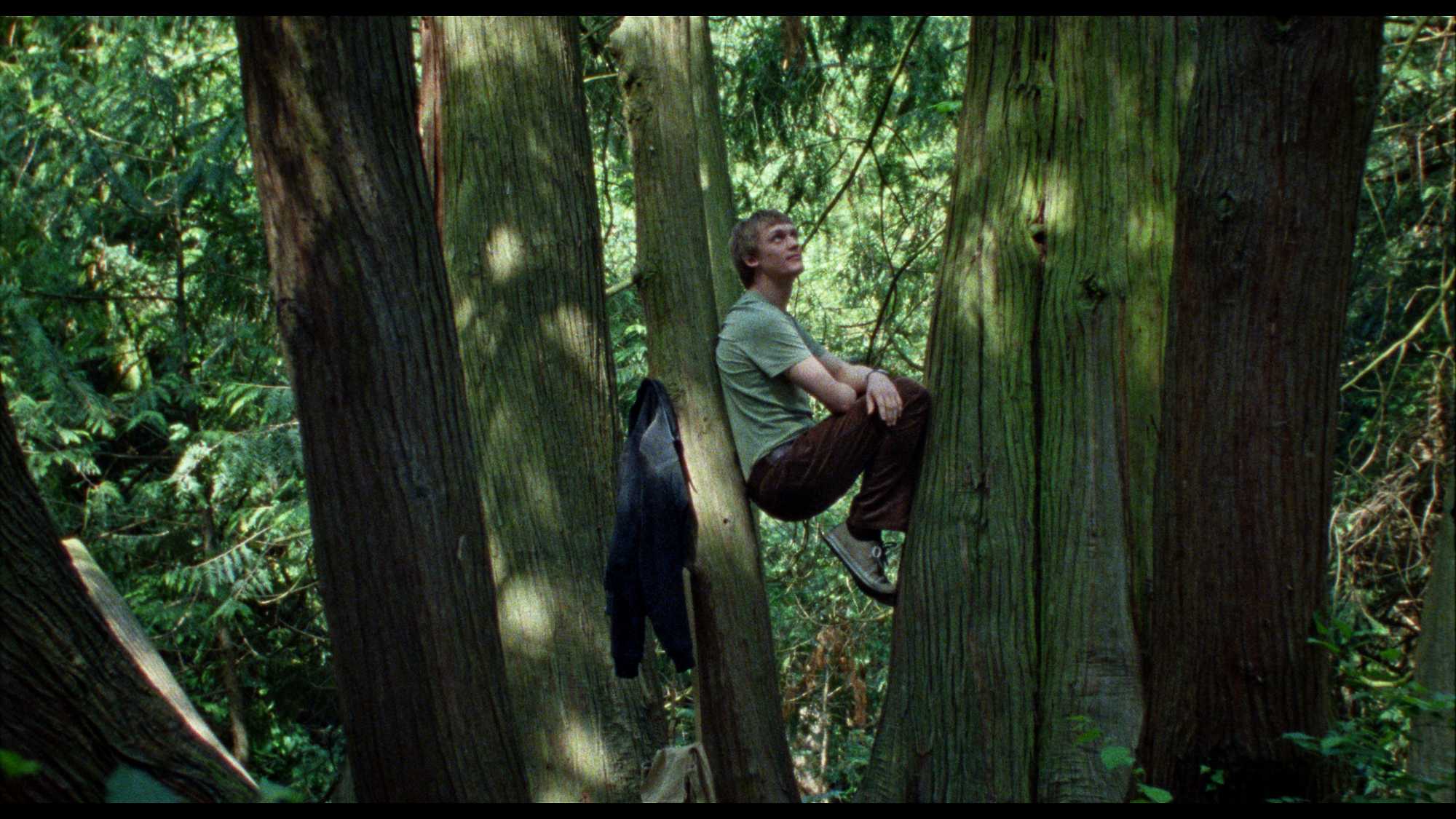 Silent Friend (image 5)