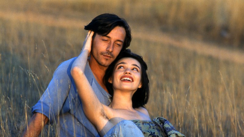 Betty Blue - Director’s Cut (image 1)