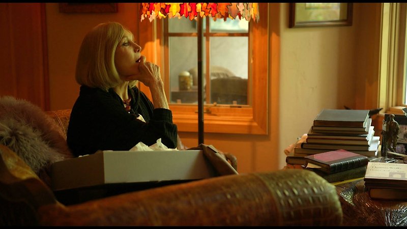 Kim Novak's Vertigo (image 1)