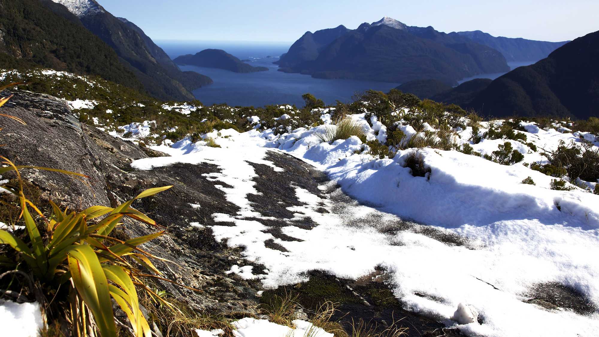 Voices of the Land: Ngā Reo o te Whenua (image 4)