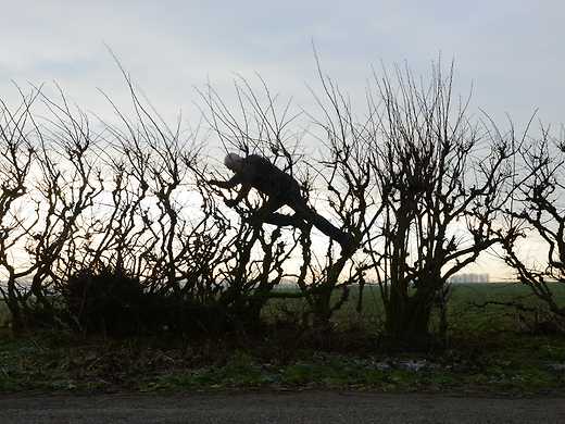 Leaning Into the Wind: Andy Goldsworthy