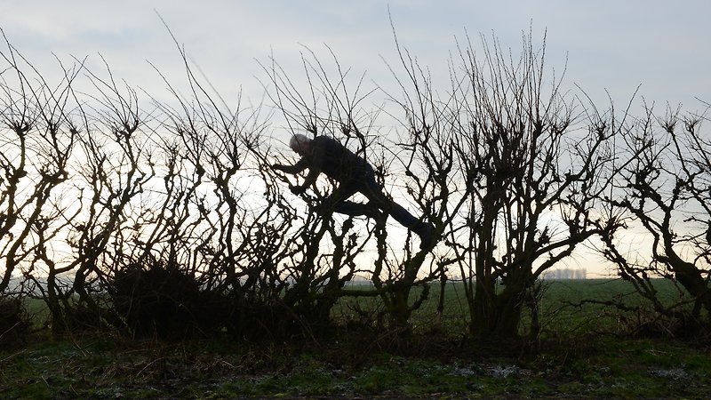 Leaning Into the Wind: Andy Goldsworthy (image 1)