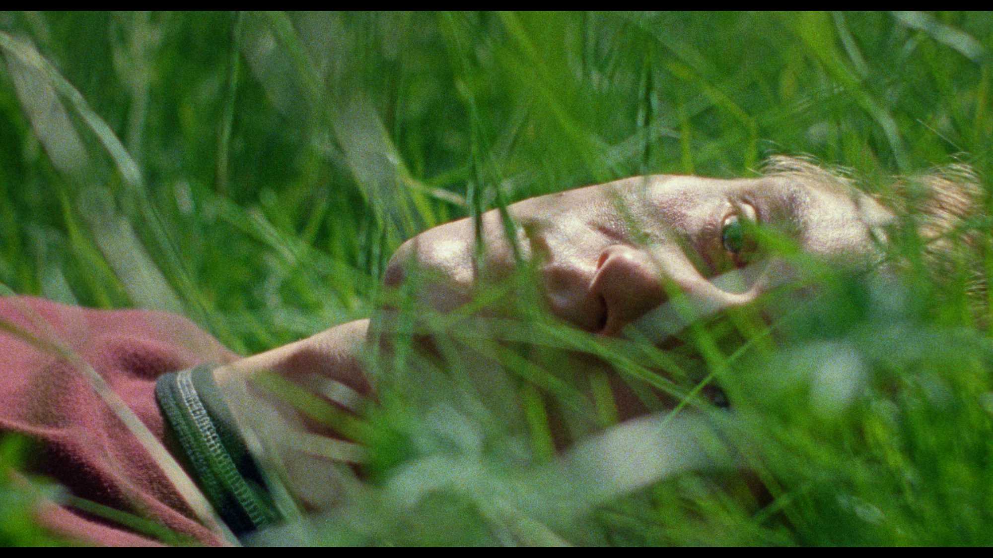 Silent Friend (image 4)