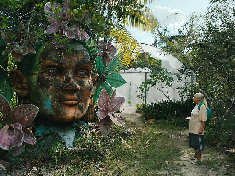 First Films Revealed for NZIFF 2025