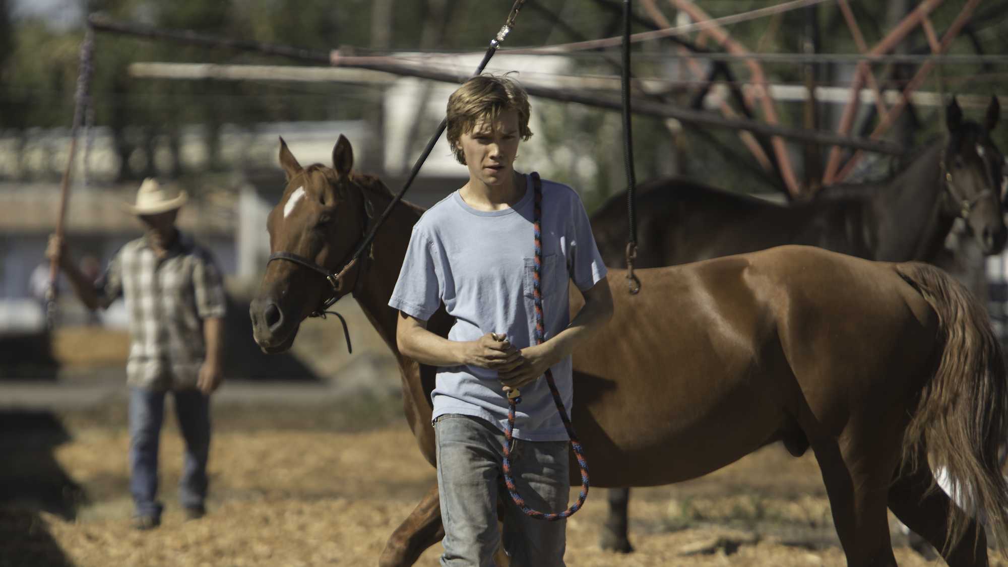Lean on Pete (image 2)