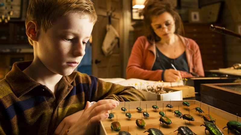 The Young and Prodigious T.S. Spivet 3D (image 11)