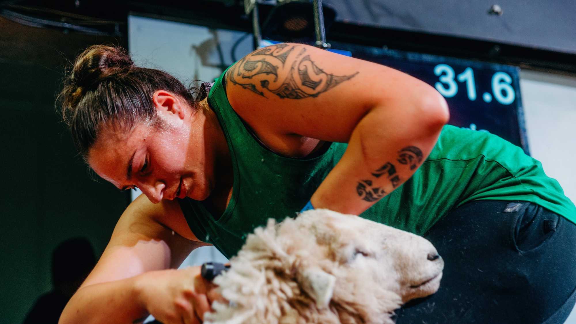 She Shears (image 5)