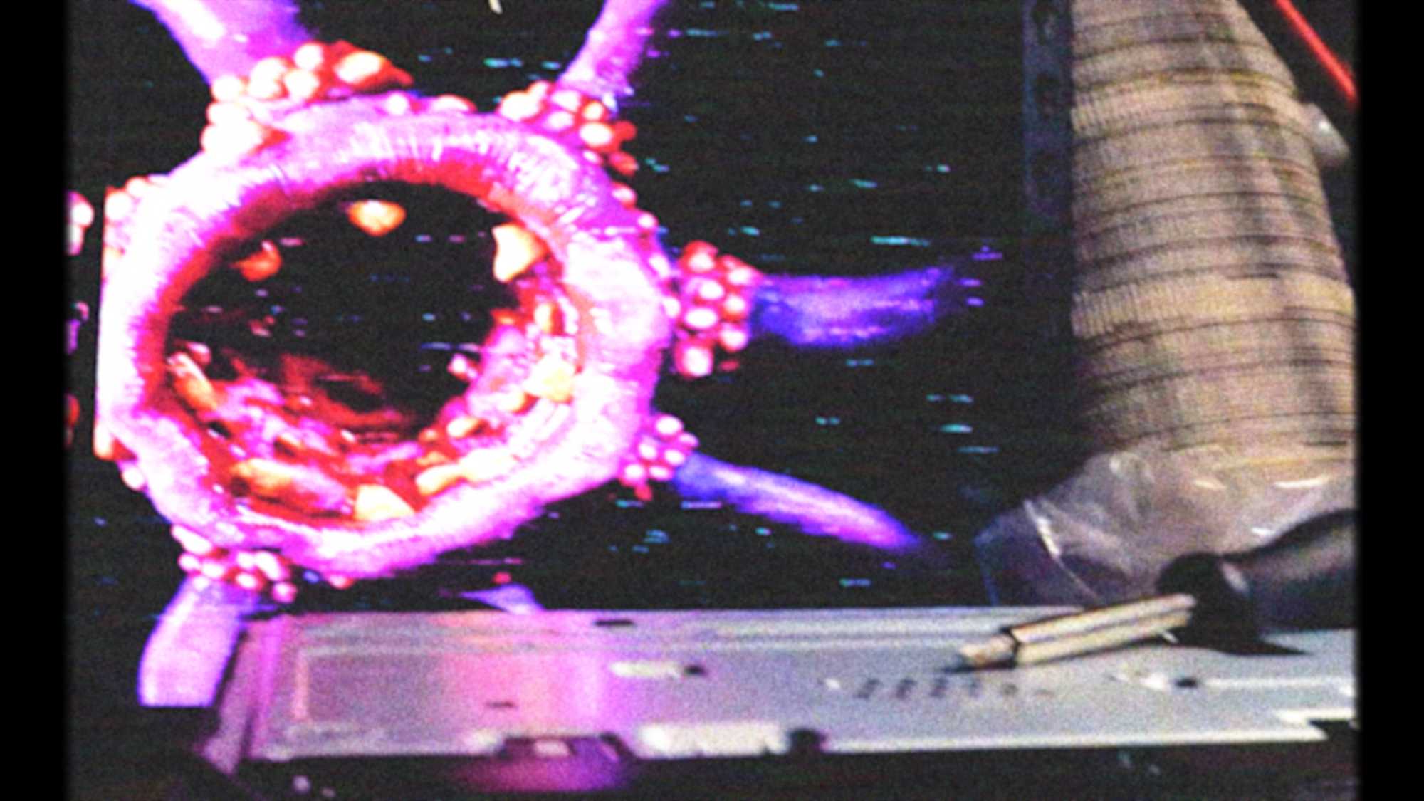 Buffet Infinity (image 4)