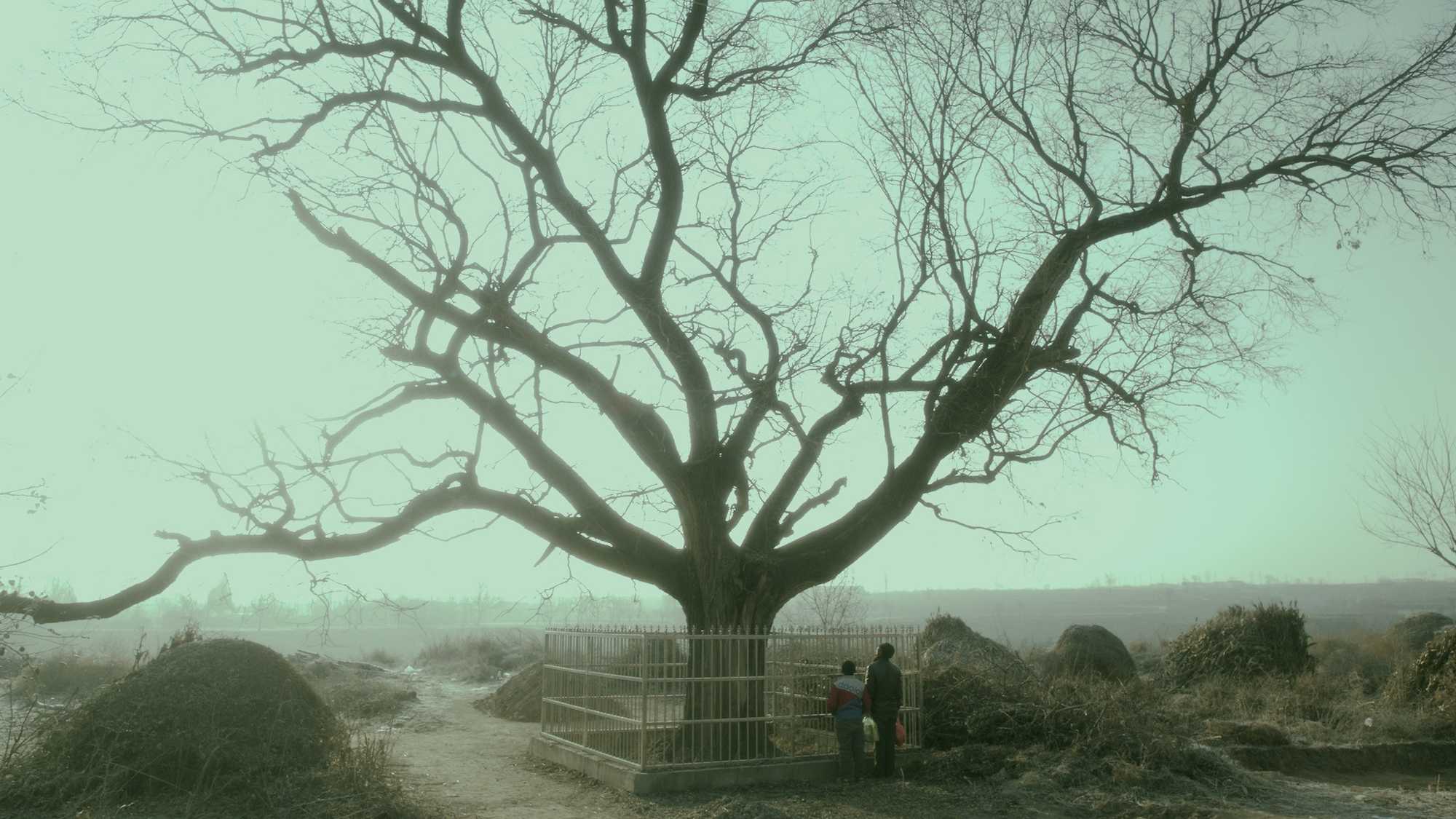 Life After Life (image 1)