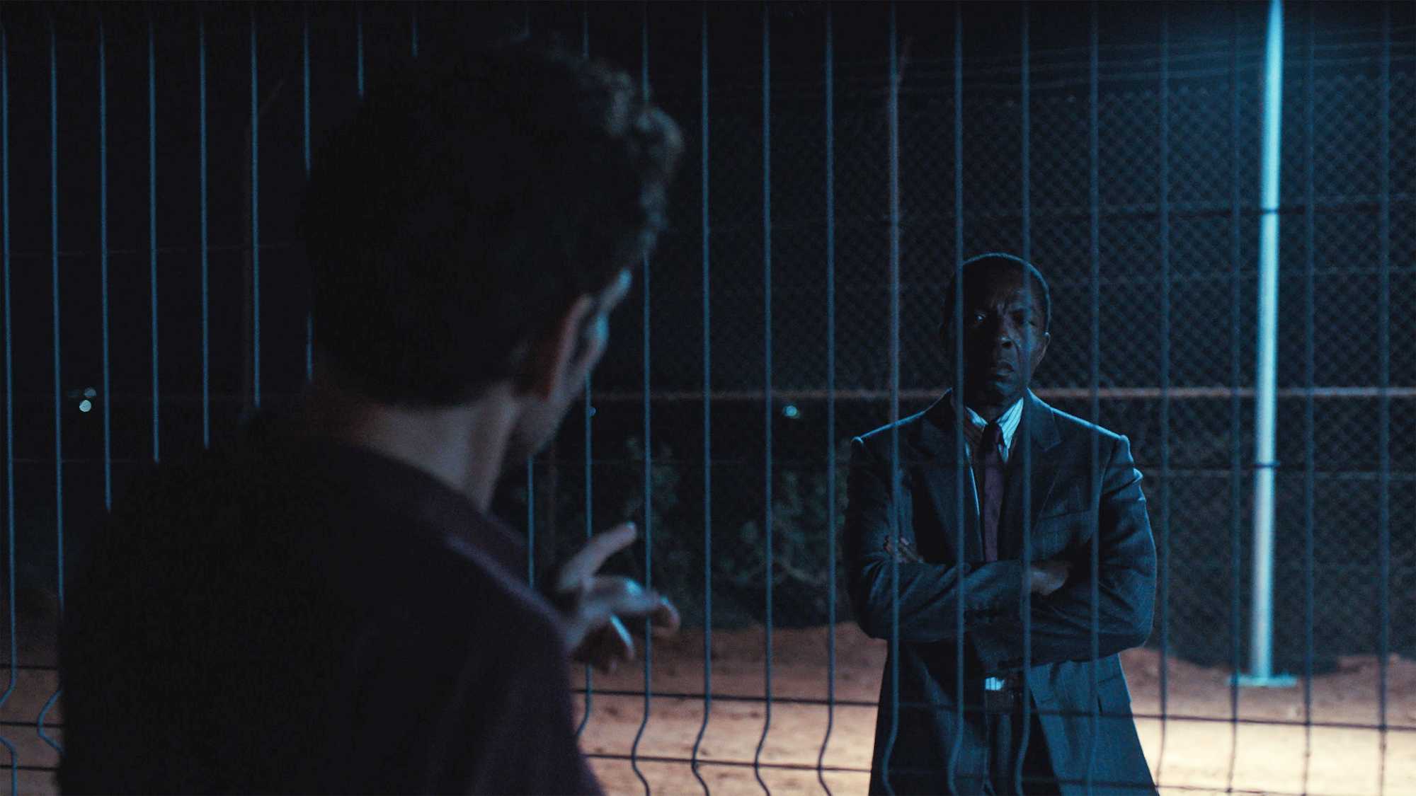The Fence (image 7)