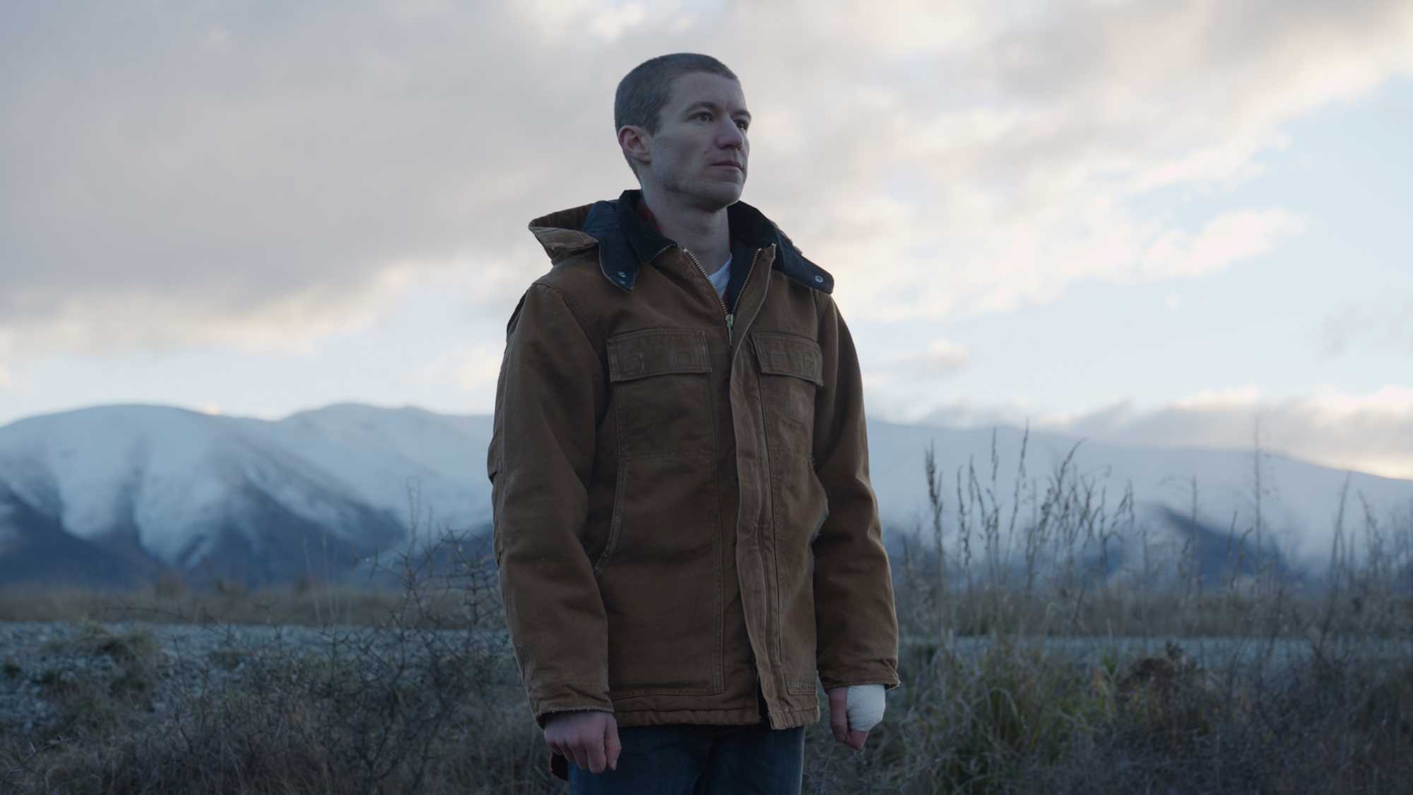 Stray (image 6)