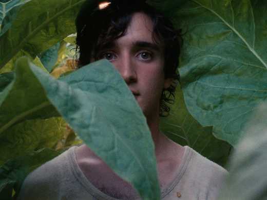 Happy As Lazzaro