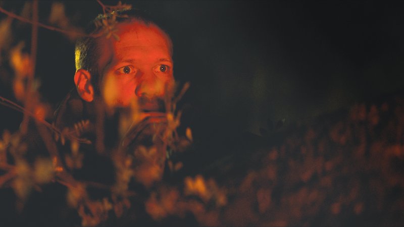 The Ornithologist (image 7)