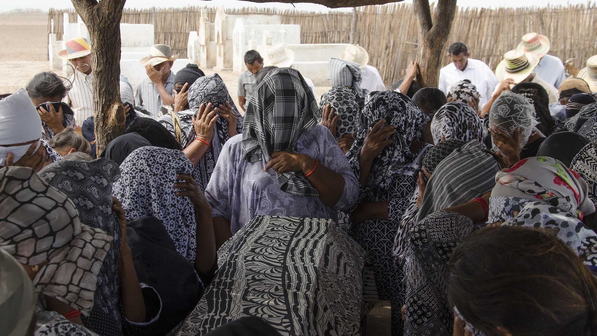 Birds of Passage (image 4)