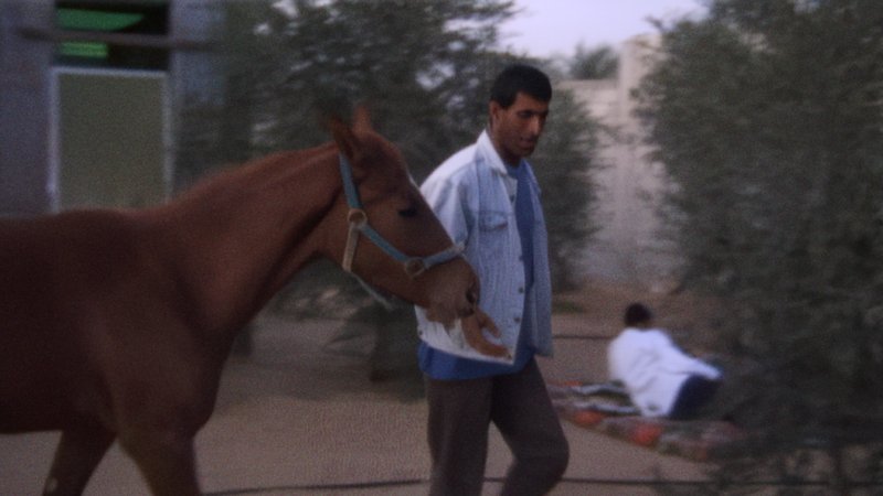 With Hasan in Gaza (image 3)