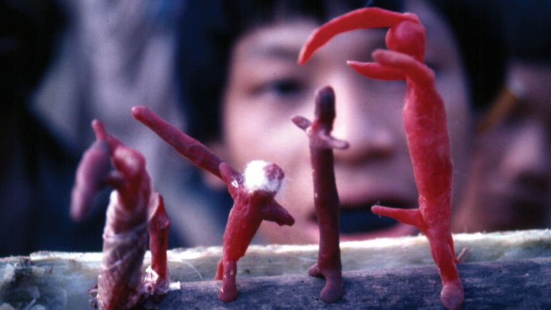 Secrets of the Tribe (image 1)