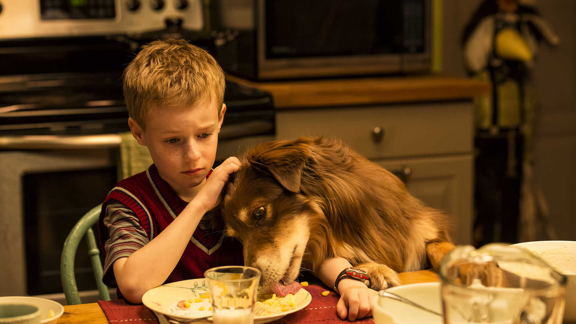 The Young and Prodigious T.S. Spivet 3D (image 16)
