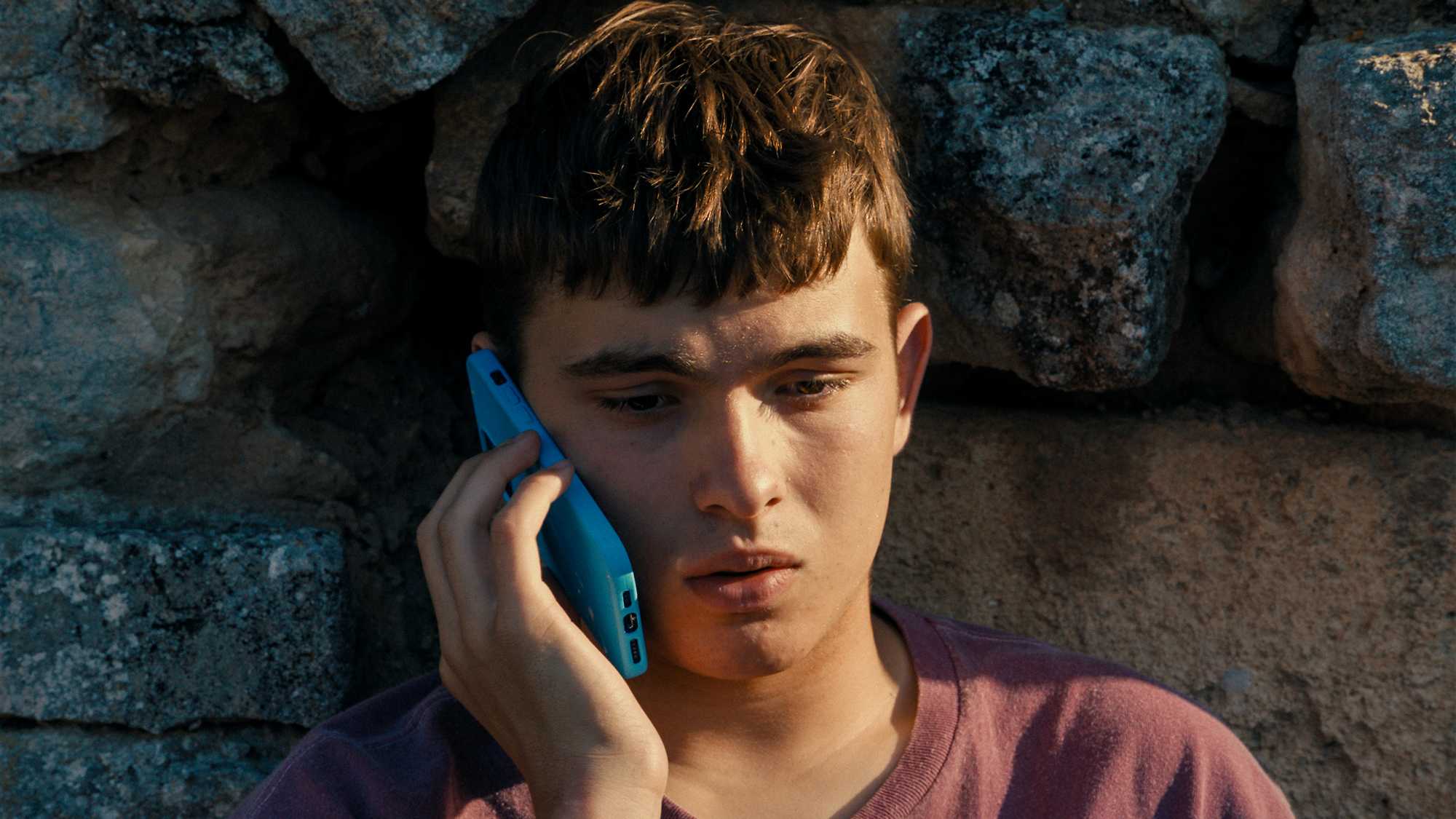 Enzo (image 2)