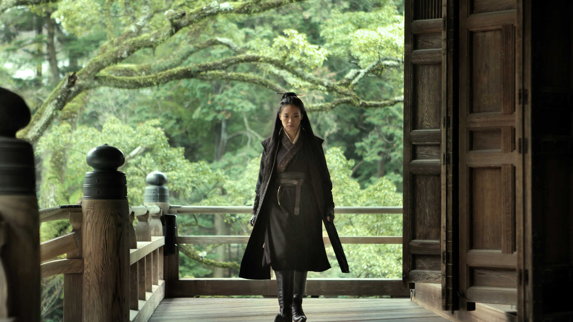 The Assassin (image 1)