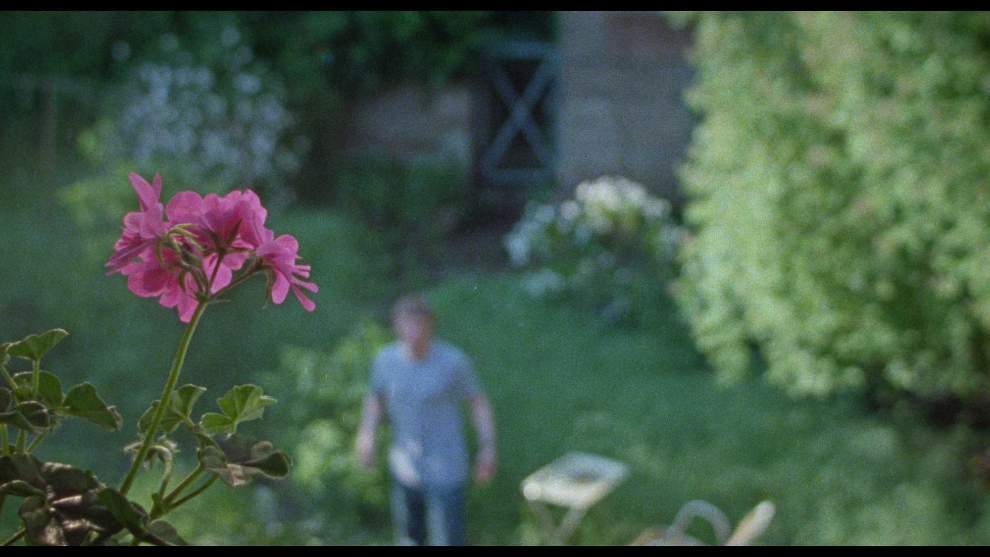Silent Friend (image 3)