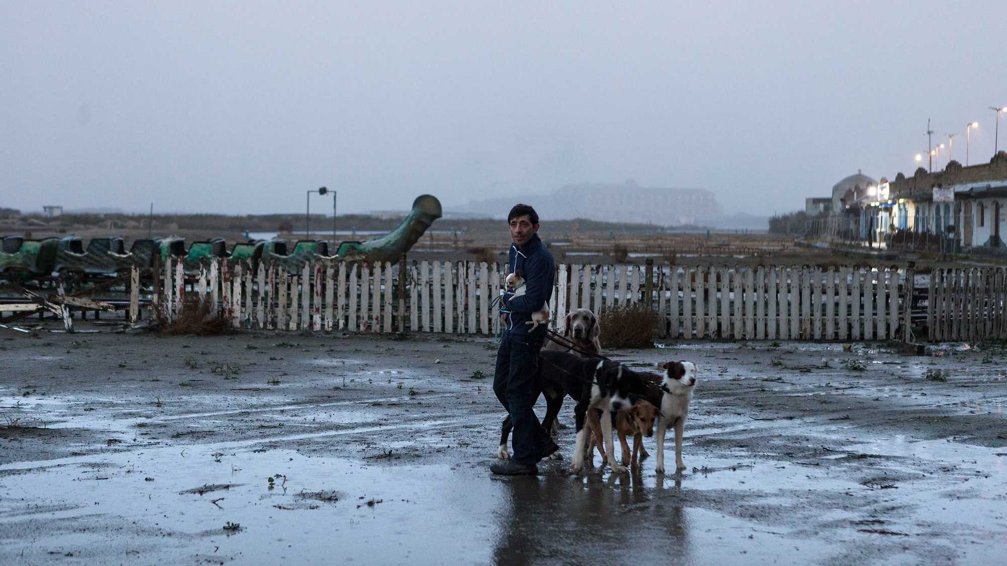 Dogman (image 2)