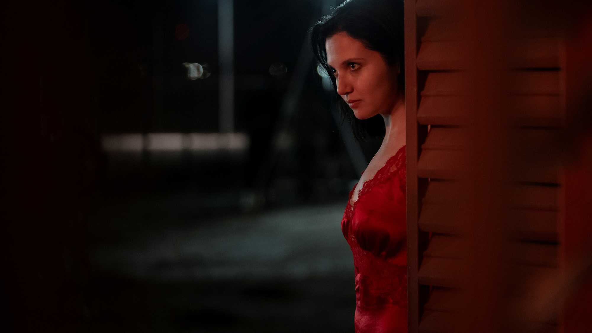 The Fence (image 3)