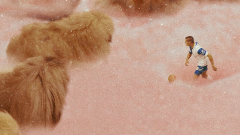 Diamantino (image 3)