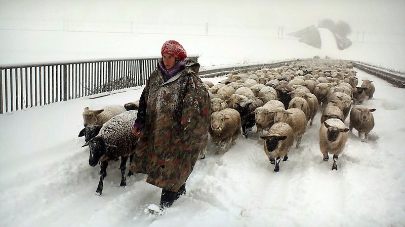 Winter Nomads (image 1)