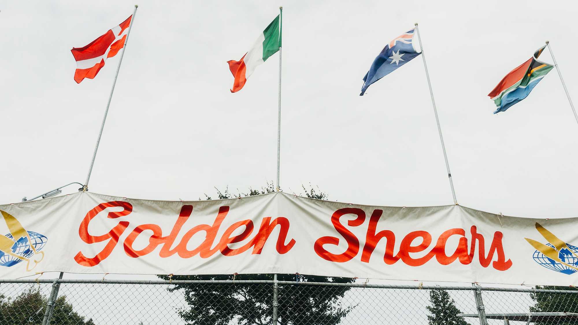 She Shears (image 4)