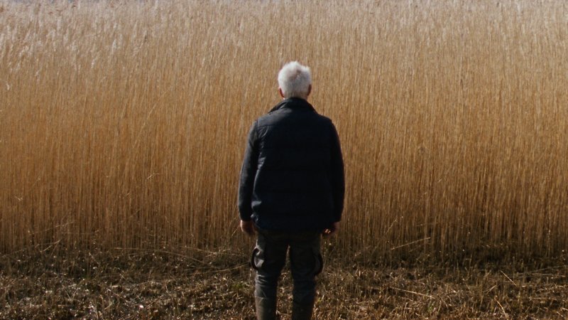 Reedland (image 1)