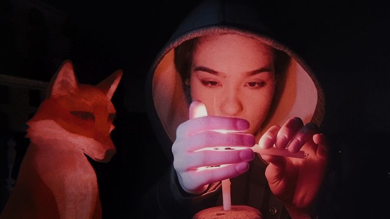 A Fox under a Pink Moon (image 5)