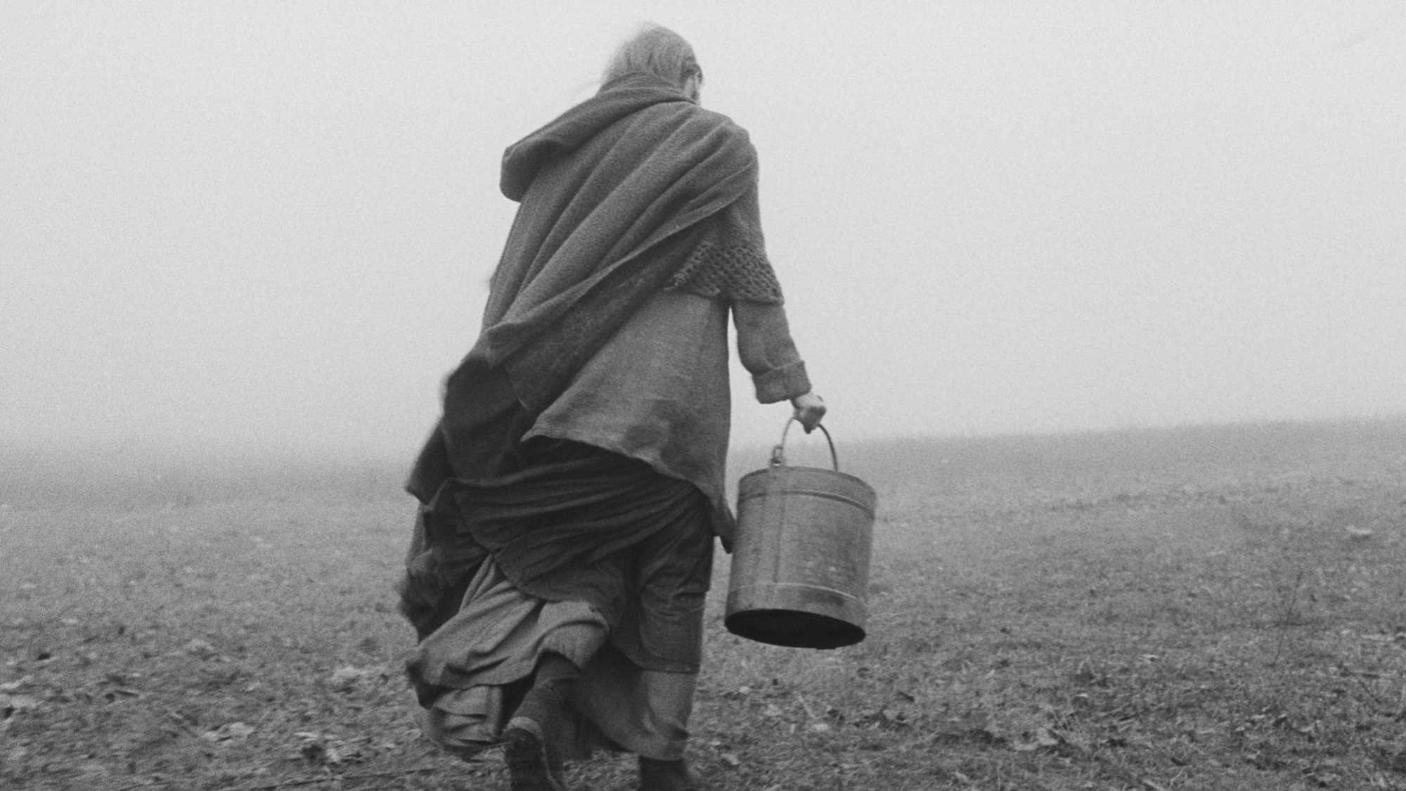 The Turin Horse (image 1)