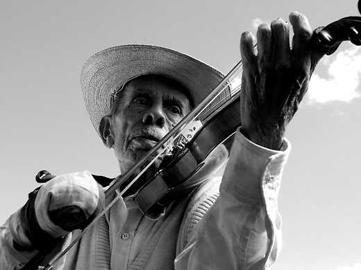 The Violin