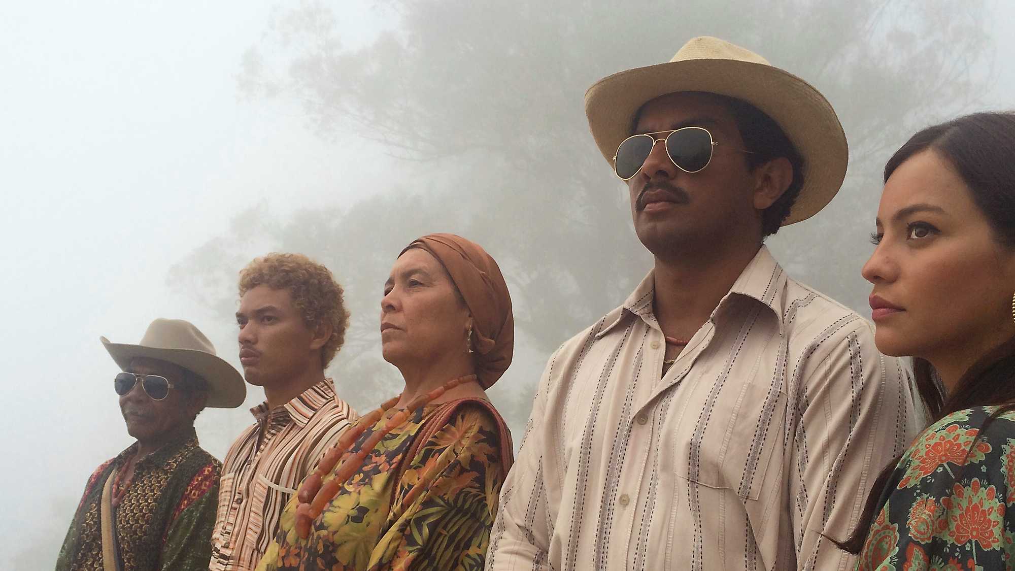 Birds of Passage (image 3)