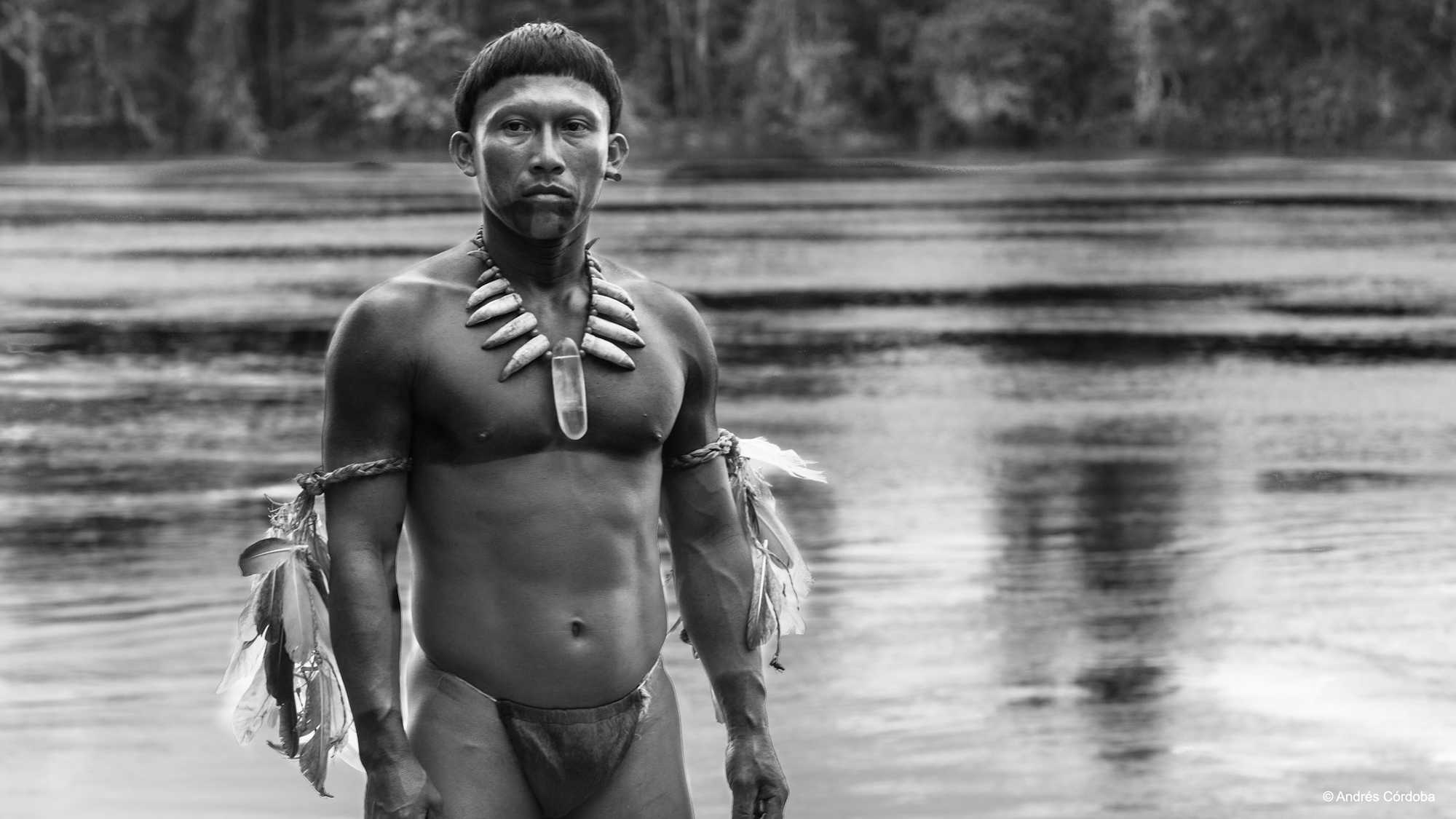 Embrace of the Serpent (image 1)