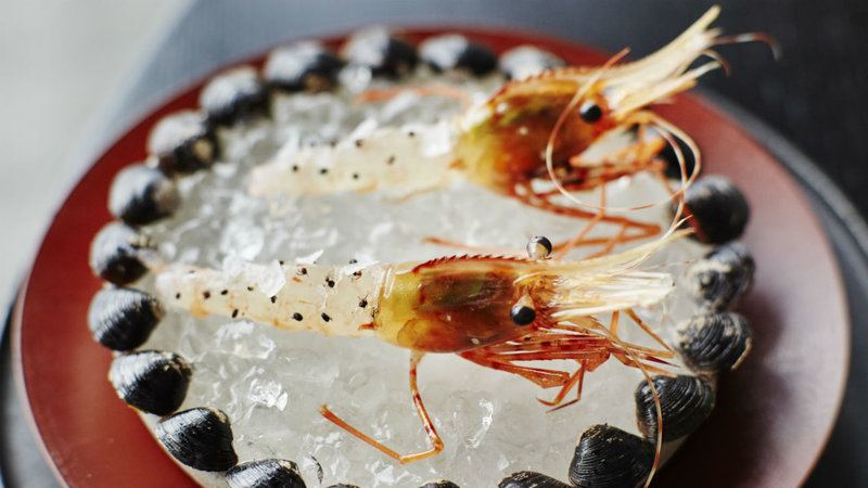 Ants on a Shrimp: Noma in Tokyo (image 3)