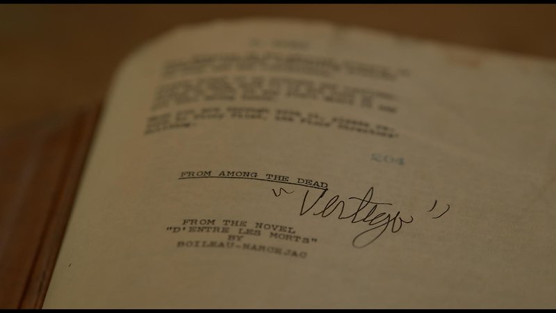Kim Novak's Vertigo (image 2)