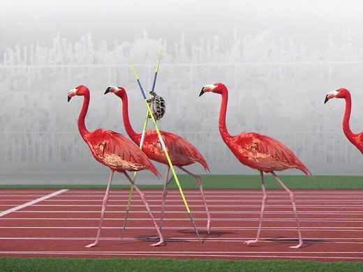 Athleticus: Middle-distance Race