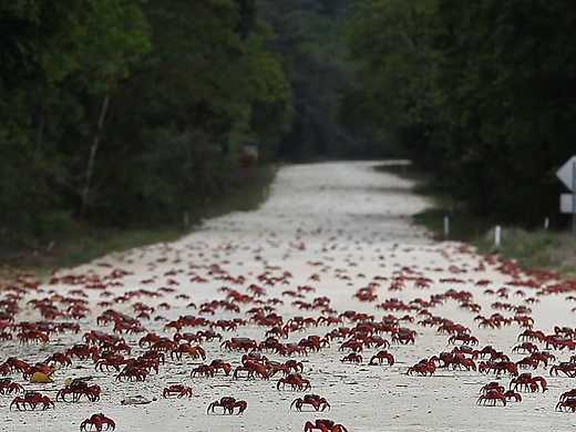 Island of the Hungry Ghosts