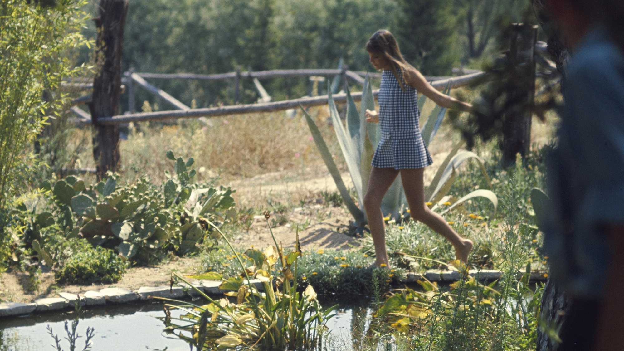 The Swimming Pool (image 5)