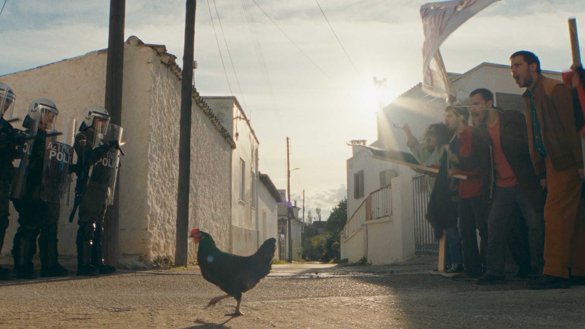 Hen (image 1)