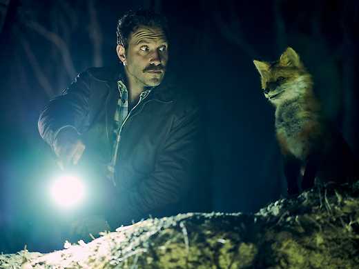 The Fox