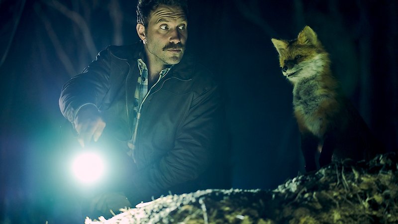 The Fox (image 1)