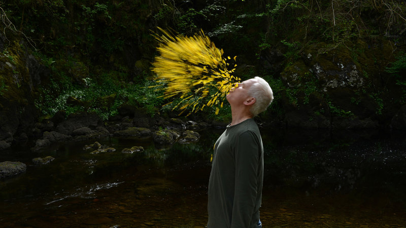 Leaning Into the Wind: Andy Goldsworthy (image 2)