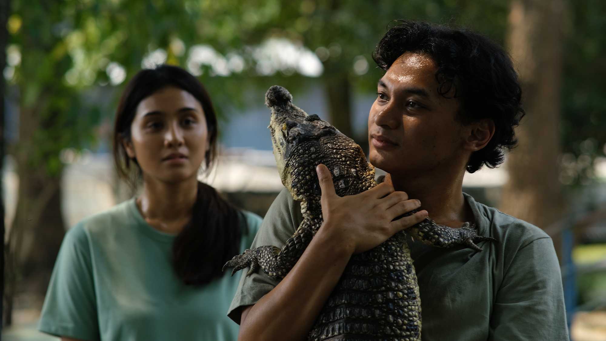 Crocodile Tears (image 1)