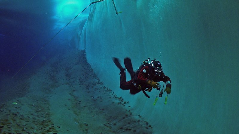 Encounters at the End of the World (image 1)