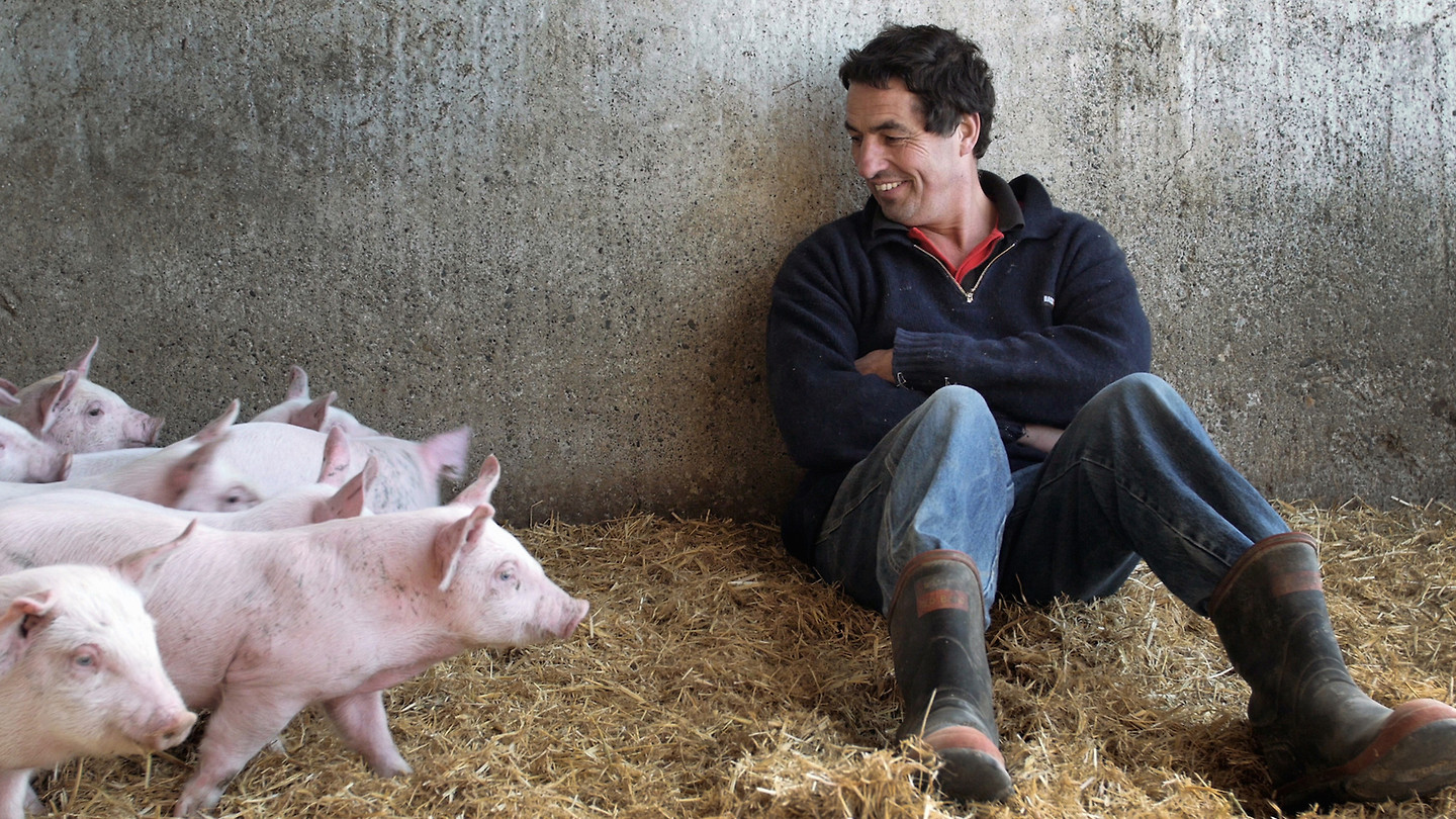 A great year for NZ documentaries starts here