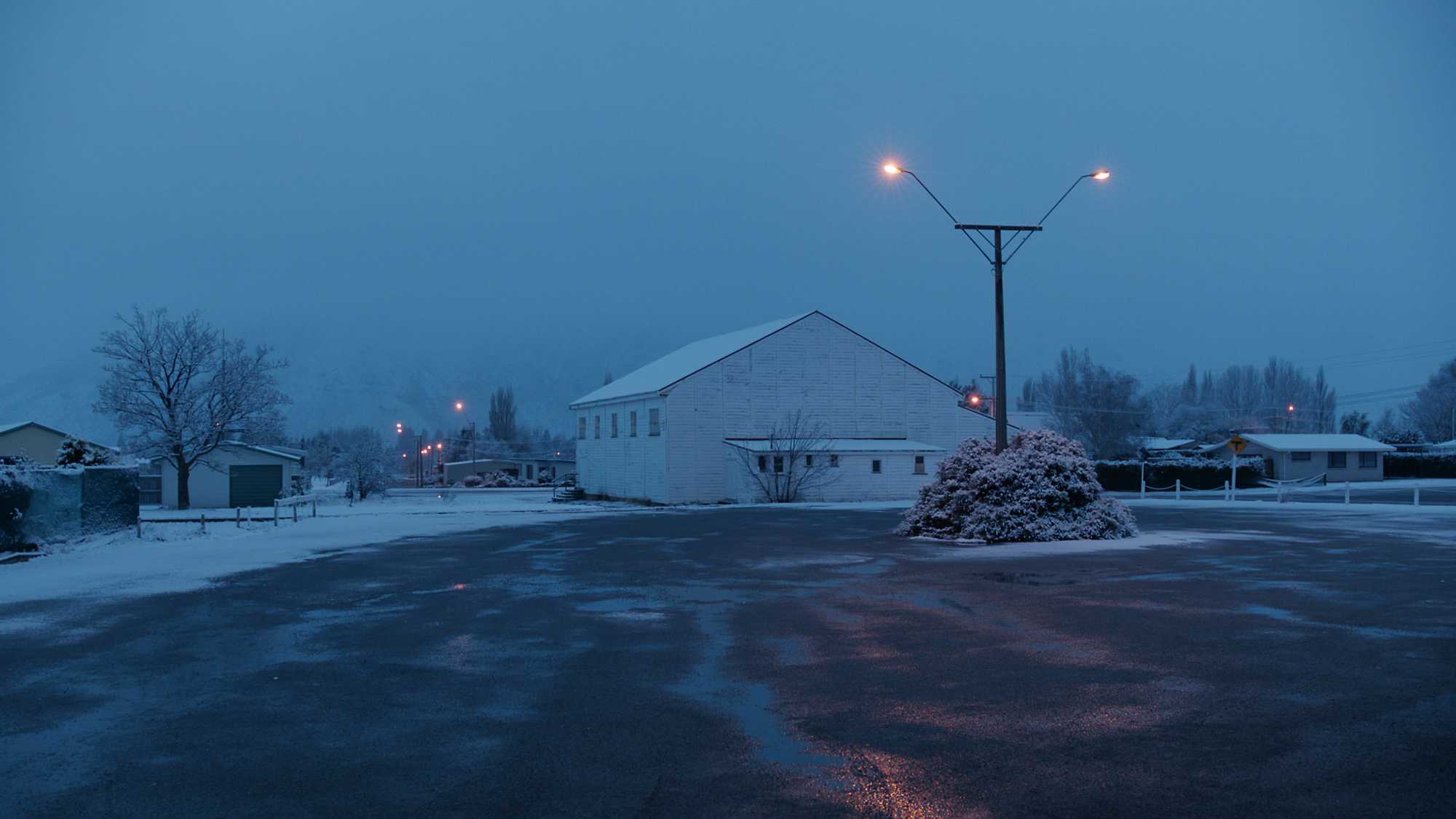 Stray (image 4)